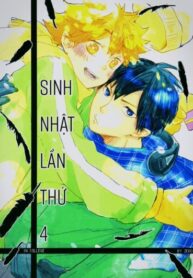 Cover 24028