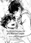 Cover 24031