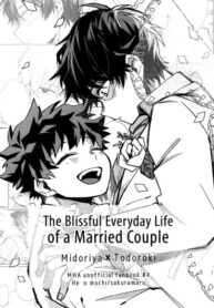 Cover 24031