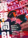 Cover 24036