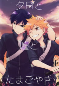 Cover 24040
