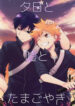 Cover 24040