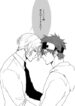 Cover 24052