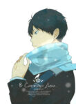Cover 24060