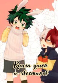 Cover 24070