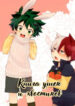 Cover 24070