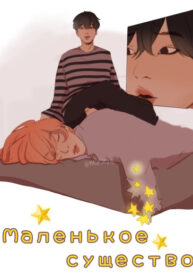 Cover 24074