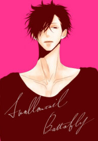 Cover 24076