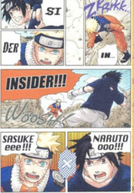 Cover 24096