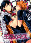 Cover 24100