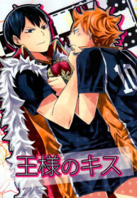 Cover 24100
