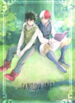 Cover 24106