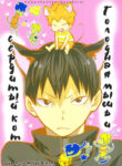 Cover 24110