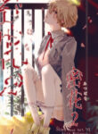 Cover 24114