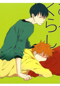 Cover 24118