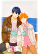 Cover 24120