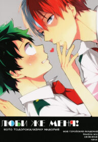Cover 24132