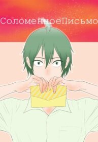 Cover 24140
