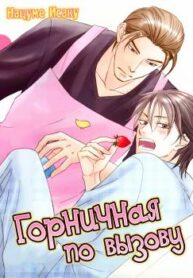 Cover 24160