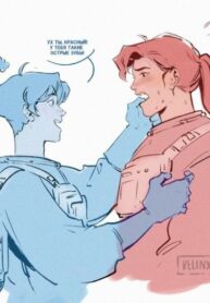 Cover 24162