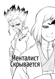 Cover 24176