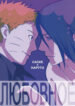Cover 24202