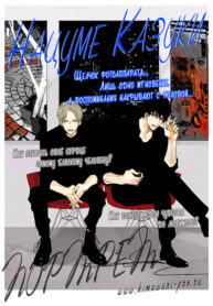 Cover 24204