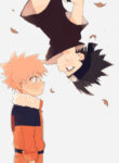 Cover 24226
