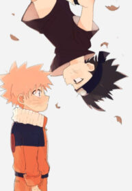 Cover 24226