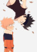 Cover 24226