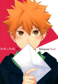 Cover 24228