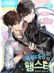 Cover 24230