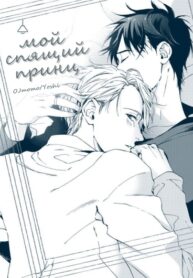 Cover 24242