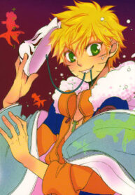 Cover 24260