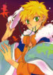 Cover 24260