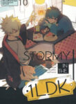 Cover 24262