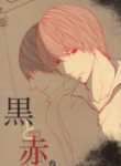 Cover 24264