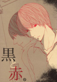 Cover 24264