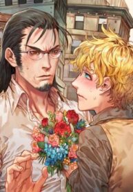Cover 24268