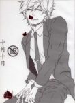 Cover 24274