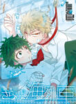 Cover 24276