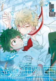 Cover 24276