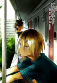 Cover 24290