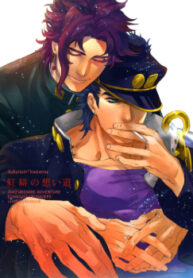 Cover 24300