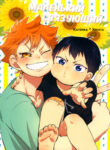 Cover 24302