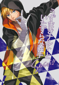 Cover 24306