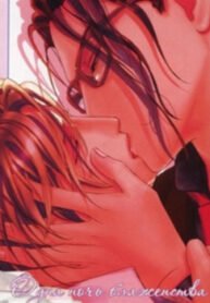 Cover 24320