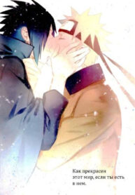 Cover 24324