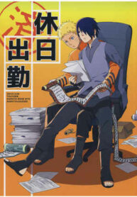 Cover 24330