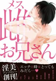 Cover 24338